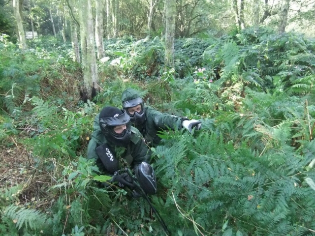  Woodland 